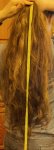 hair length 2